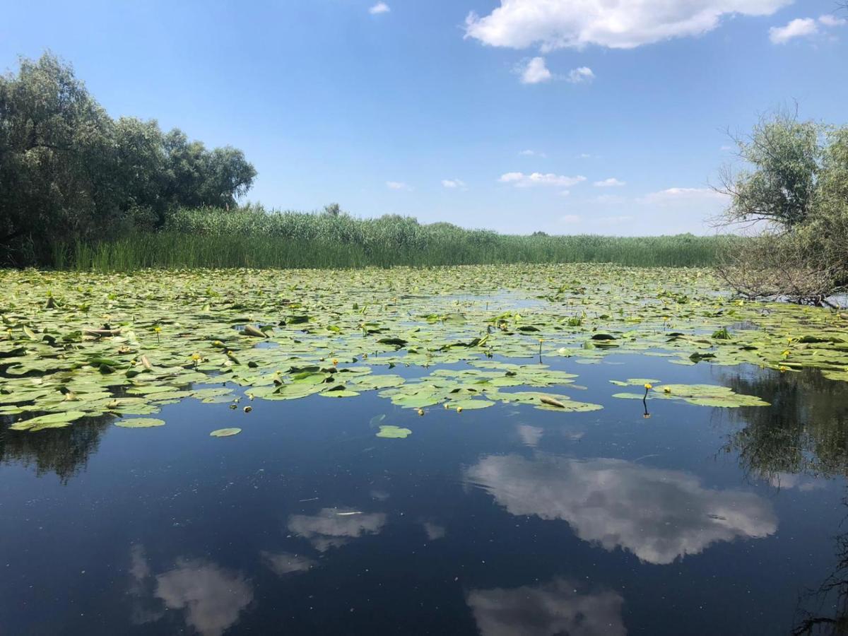 Agropensiunea Beluga Gorgova Екстер'єр фото