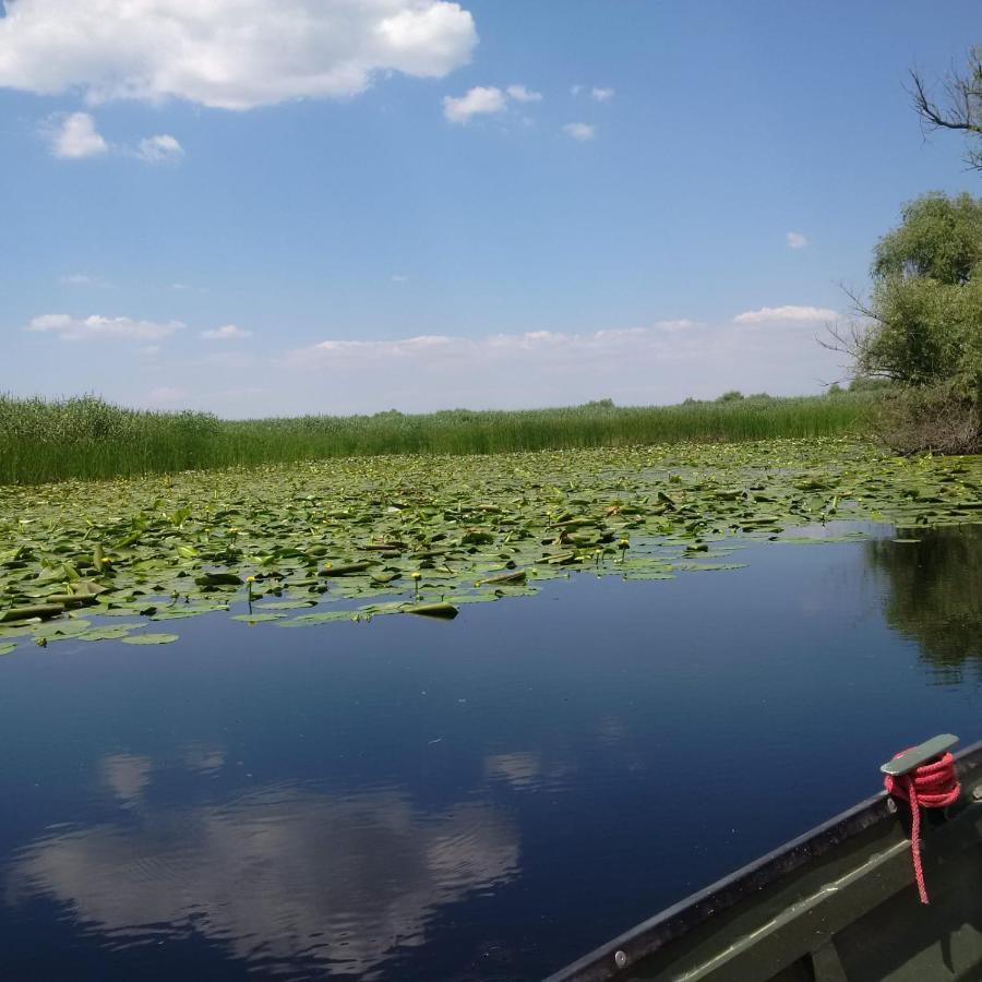 Agropensiunea Beluga Gorgova Екстер'єр фото